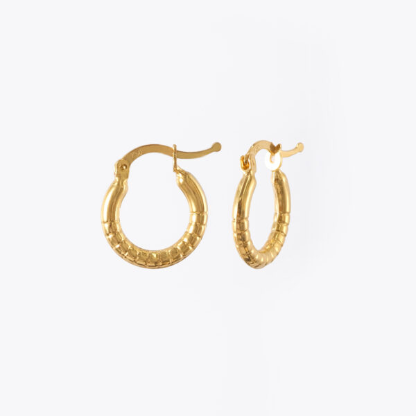 Nyce Earrings