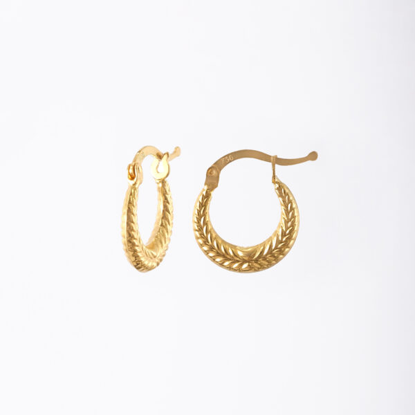 Vidan Earrings