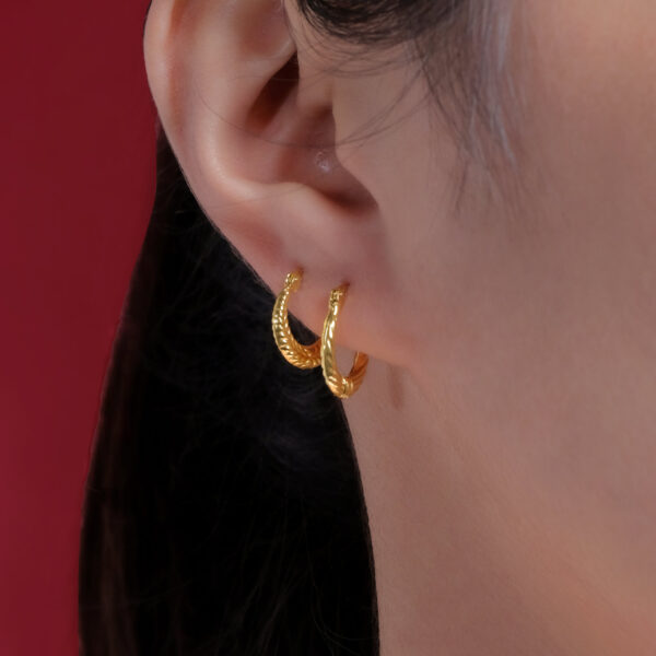 Vidan Earrings - Image 2