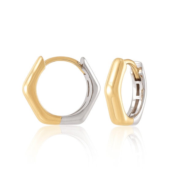 Galen Earrings