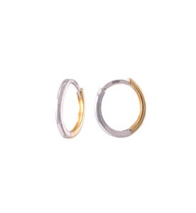 Alternative view of Lari Earrings