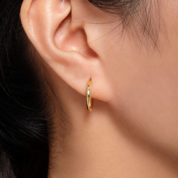 Lari Earrings - Image 4