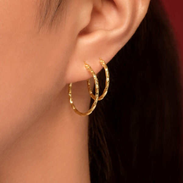 Bern Earrings - Image 4