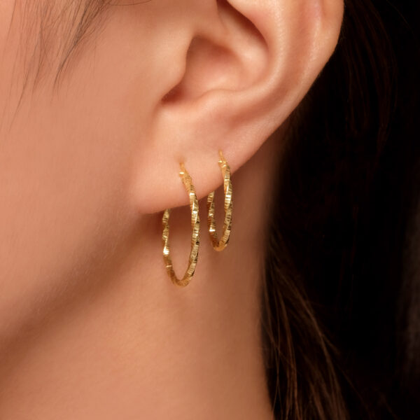 Bern Earrings - Image 3