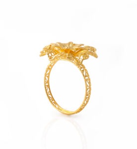 Alternative view of Ferni Ring