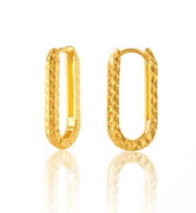 Lad Earrings