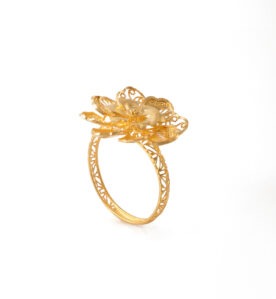 Alternative view of Mial Ring