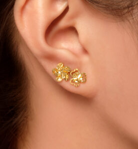 Alternative view of Ferni Earrings