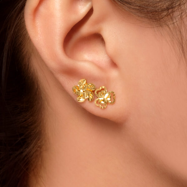 Ferni Earrings - Image 2