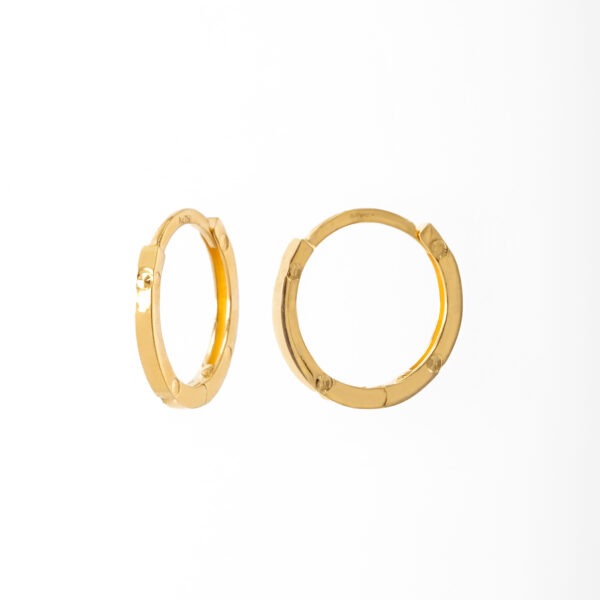 Stere Earrings
