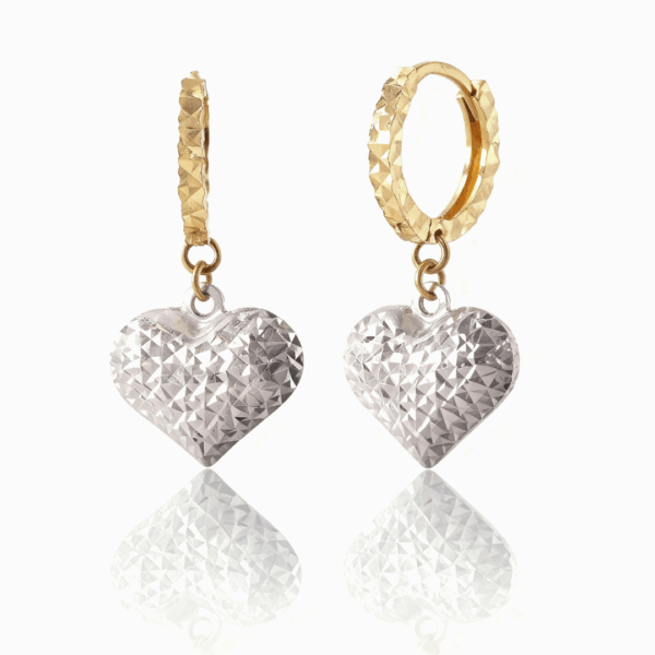 Tredi Earrings