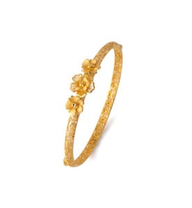 Bacle Bangle