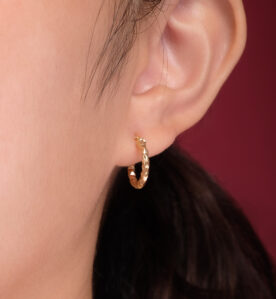 Alternative view of Certi Earrings