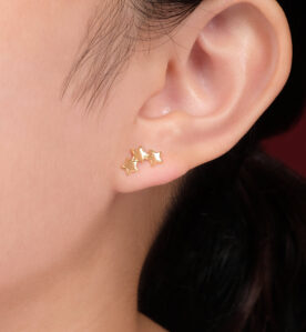 Alternative view of Tharre Earrings