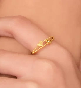 Alternative view of Dualis Ring