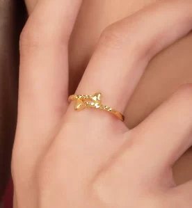 Alternative view of Teriave Ring