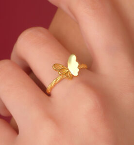 Alternative view of Bure Ring